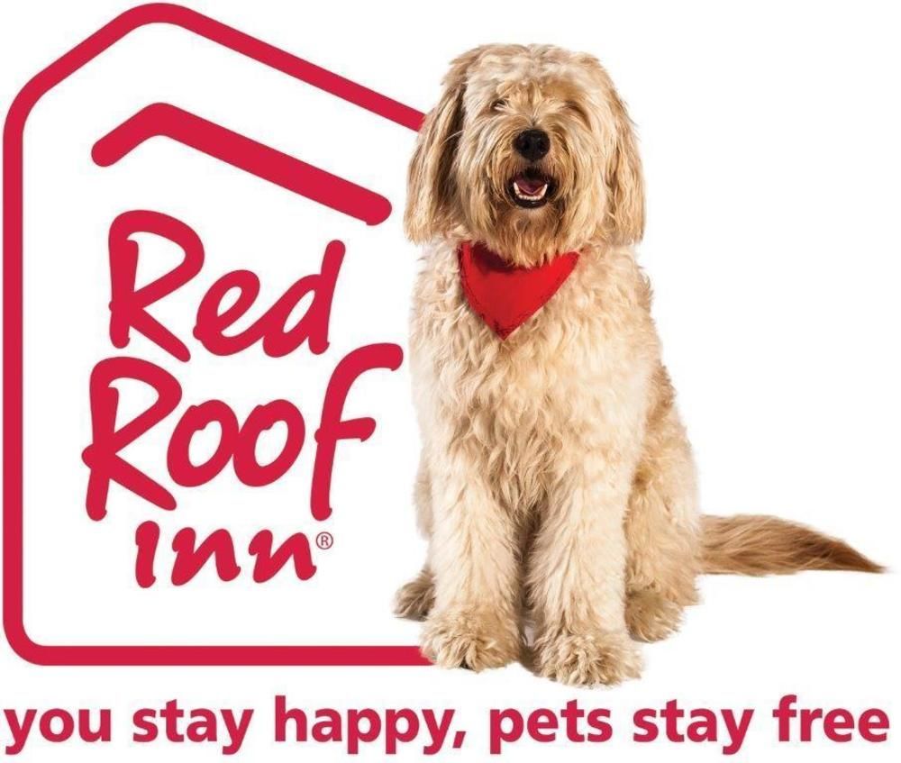 Red Roof Inn Plus+ El Paso East Dış mekan fotoğraf